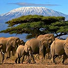 Mount-Kilimanjaro_Attraction