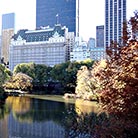 NYC Central park