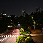 Kuritsu Hinokicho Park, Tokyo